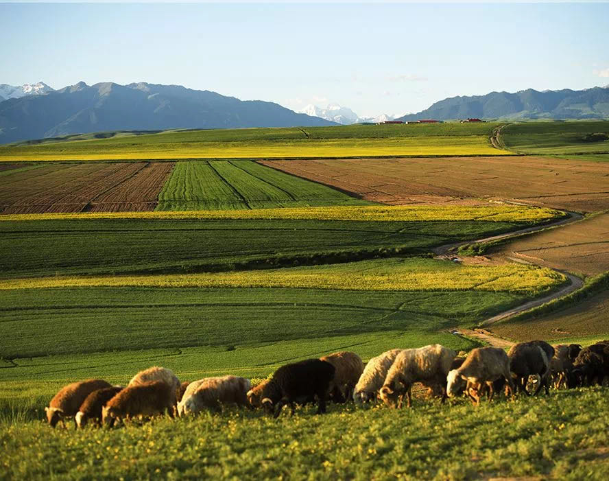 腾博汇游戏官网·(中国)专业效劳,诚信为本